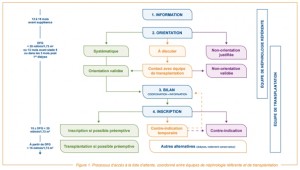 Schéma descriptif du processus de transplantation rénale